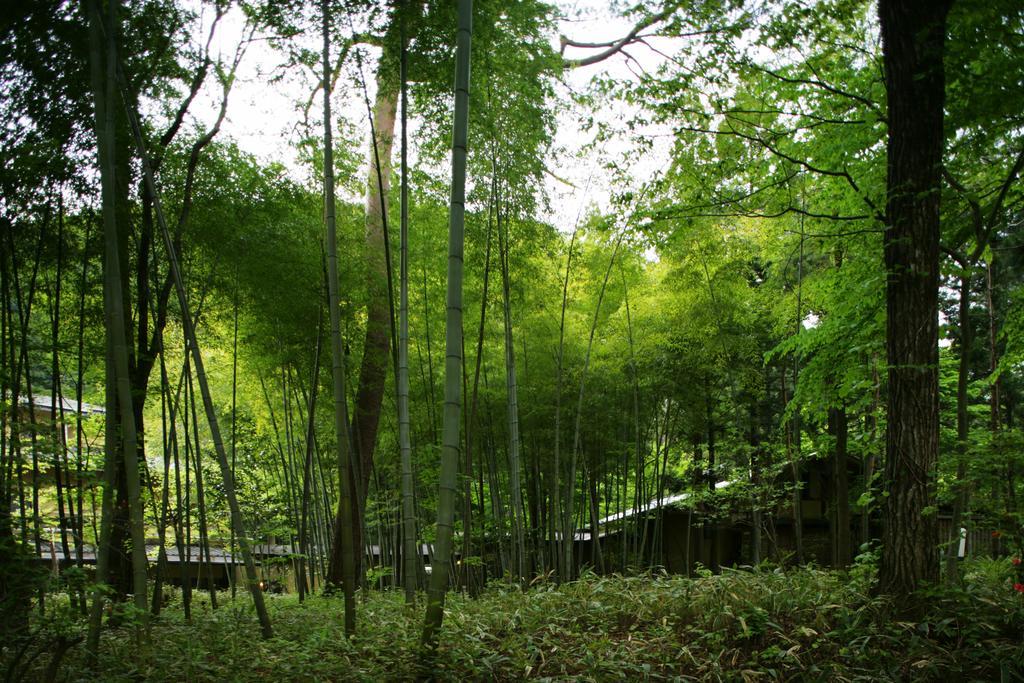 Sekizenkan Kashotei Sanso Hotel Nakanojo Exterior photo