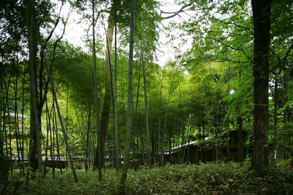 Sekizenkan Kashotei Sanso Nakanojo Exterior photo