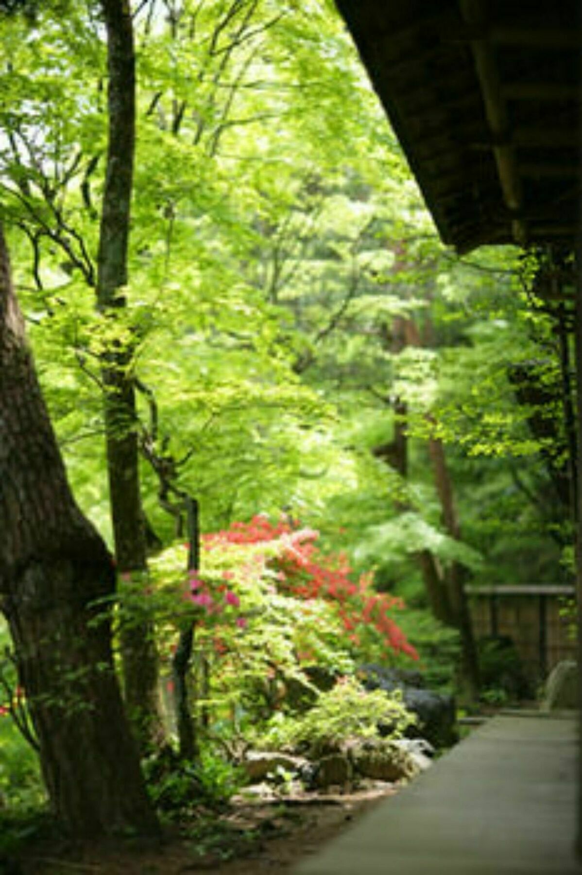 Sekizenkan Kashotei Sanso Hotel Nakanojo Exterior photo